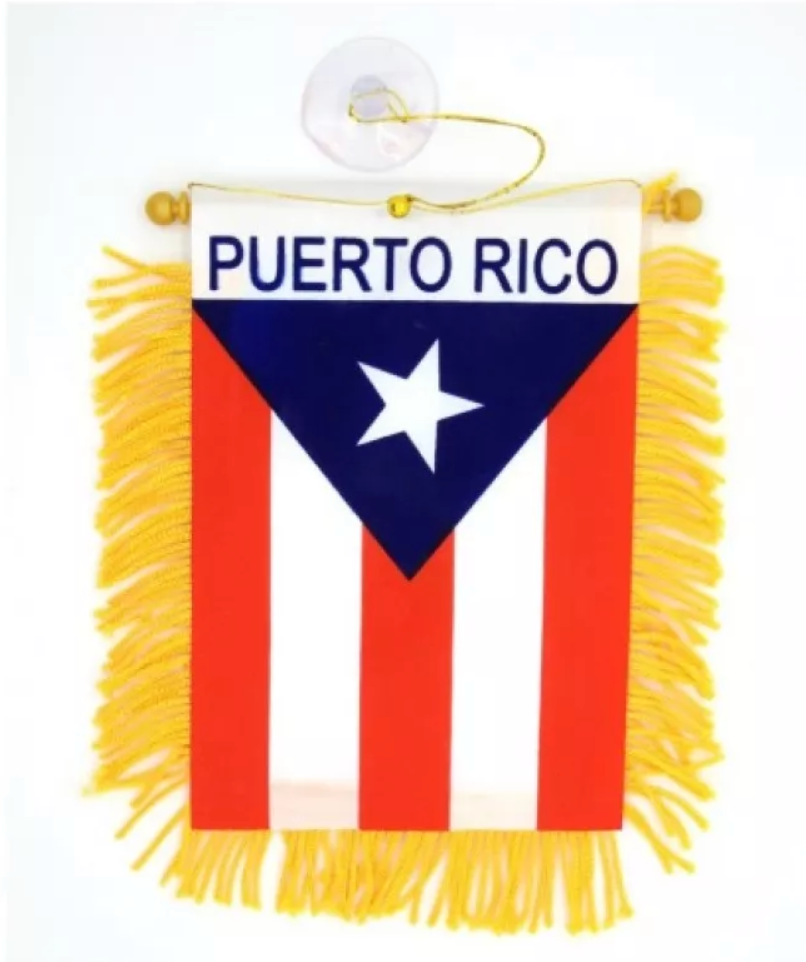 Puerto Rico Mini Banner Flag